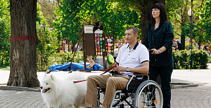 Картинка статьи